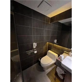 لوحة الجدار SPC الحمام